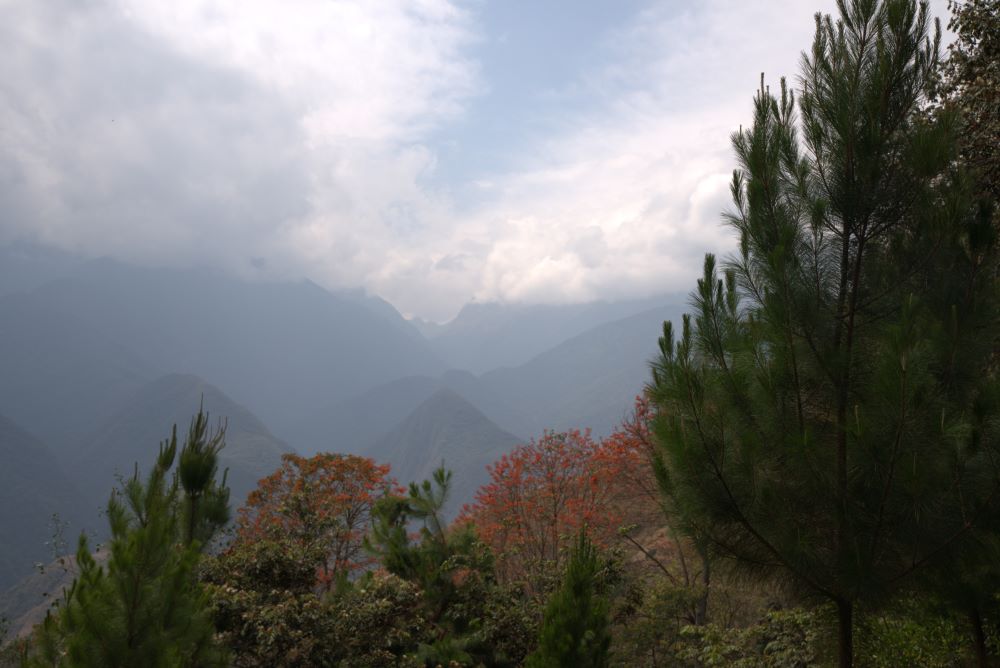 Les montagnes d'Acconcharcas, région péruvienne où sont cultivés des cafés de spécialité